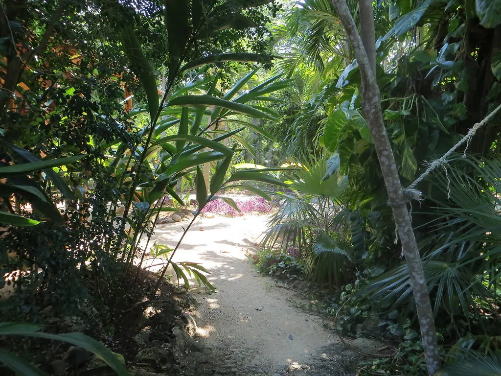 Tingalaya'S Retreat Hotel Negril Guest house